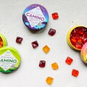 camino gummies review