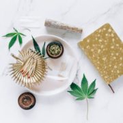 cannabis accessories